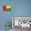 Guinea-Bissau Flag Design with Wood Patterning - Flags of the World Series-Philippe Hugonnard-Stretched Canvas displayed on a wall