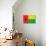 Guinea-Bissau Flag Design with Wood Patterning - Flags of the World Series-Philippe Hugonnard-Stretched Canvas displayed on a wall