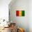 Guinea Flag Design with Wood Patterning - Flags of the World Series-Philippe Hugonnard-Stretched Canvas displayed on a wall