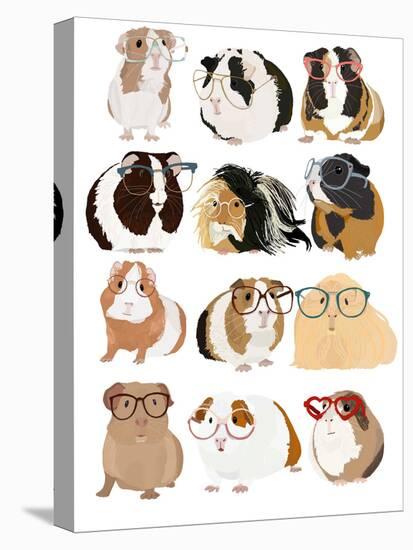 Guinea Pigs In Glasses-Hanna Melin-Stretched Canvas