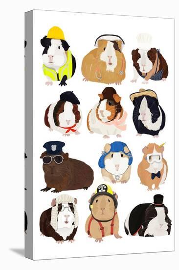 Guinea Pigs Working-Hanna Melin-Stretched Canvas