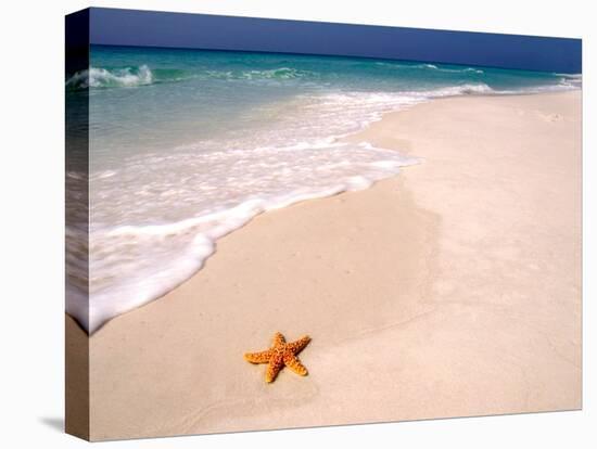 Gulf Island National Seashore, Santa Rosa Island, Florida-Maresa Pryor-Premier Image Canvas