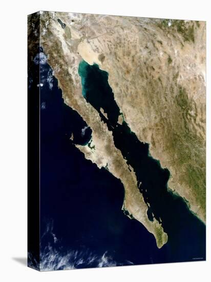 Gulf of California-Stocktrek Images-Premier Image Canvas