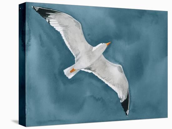 Gull in a Gale I-Grace Popp-Stretched Canvas