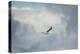 Gull over Paris Landing-Jai Johnson-Premier Image Canvas