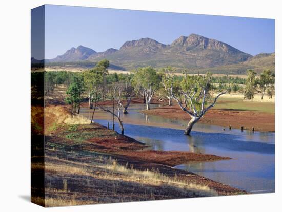 Gum Trees in a Billabong, Flinders Range National Park, South Australia, Australia-Robert Francis-Premier Image Canvas