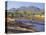 Gum Trees in a Billabong, Flinders Range National Park, South Australia, Australia-Robert Francis-Premier Image Canvas