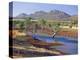 Gum Trees in a Billabong, Flinders Range National Park, South Australia, Australia-Robert Francis-Premier Image Canvas