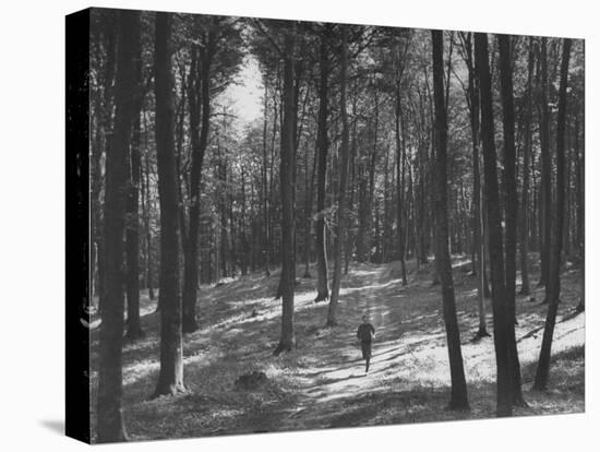 Gunder Hagg Training in the Woods Near Malmo-null-Premier Image Canvas