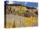 Gunnison National Forest, Colorado, USA-Jamie & Judy Wild-Premier Image Canvas