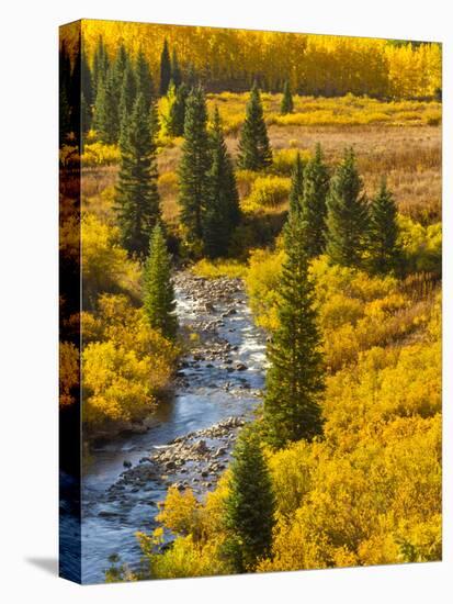 Gunnison National Forest, Colorado, USA-Cathy & Gordon Illg-Premier Image Canvas