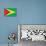Guyana Flag Design with Wood Patterning - Flags of the World Series-Philippe Hugonnard-Stretched Canvas displayed on a wall