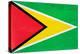 Guyana Flag Design with Wood Patterning - Flags of the World Series-Philippe Hugonnard-Stretched Canvas