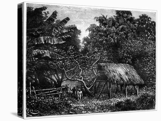 Guyana, South America, 19th Century-Edouard Riou-Premier Image Canvas