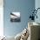GWB Plenachrome Blur-Evan Morris Cohen-Premier Image Canvas displayed on a wall