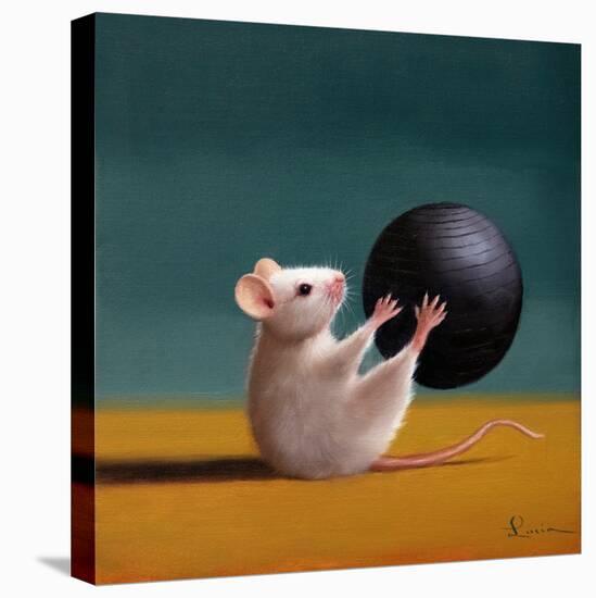 Gym Rat Grab and Pass-Lucia Heffernan-Stretched Canvas