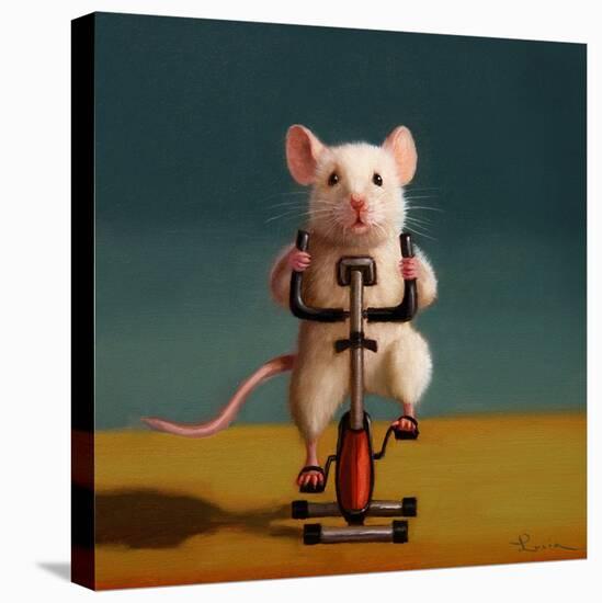 Gym Rat Spin-Lucia Heffernan-Stretched Canvas