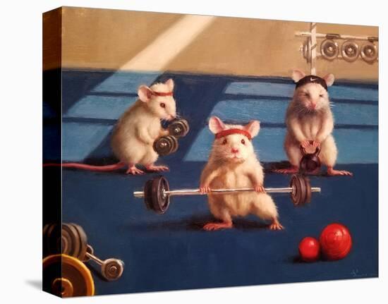 Gym Rats-Lucia Heffernan-Stretched Canvas