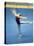 Gymnast Doing Floor Work-null-Premier Image Canvas