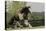 Gypsy Vanner Horse Running, Crestwood, Kentucky-Adam Jones-Premier Image Canvas