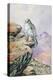 Gyrfalcon-Carl Donner-Premier Image Canvas