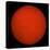 H-Alpha Full Sun in Red Color with Active Areas and Filaments-Stocktrek Images-Premier Image Canvas