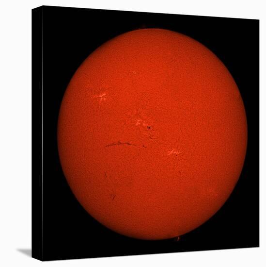 H-Alpha Full Sun in Red Color with Active Areas and Filaments-Stocktrek Images-Premier Image Canvas