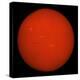 H-Alpha Full Sun in Red Color with Active Areas and Filaments-Stocktrek Images-Premier Image Canvas