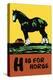 H is for Horse-Charles Buckles Falls-Stretched Canvas