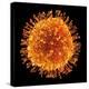 H1N1 Flu Virus Particle, Artwork-PASIEKA-Premier Image Canvas