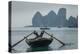 Ha Long Bay, Vietnam-Art Wolfe-Premier Image Canvas