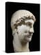 Hadrian, 76-138 AD Roman Emperor, marble, 117-38 AD-null-Premier Image Canvas