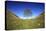 Hadrian's Wall Sycamore Gap, Beside Steel Rig, Autumn-null-Premier Image Canvas