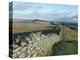 Hadrian's Wall, Unesco World Heritage Site, Northumbria, England, U.K.-Adam Woolfitt-Premier Image Canvas