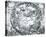 Haemisphaeri Graphicum Coelitietum Sceno Australae Stella Terrae, 1660-Henricus Hondius-Stretched Canvas