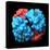 Haemoglobin Molecule, Artwork-Visual Science-Premier Image Canvas