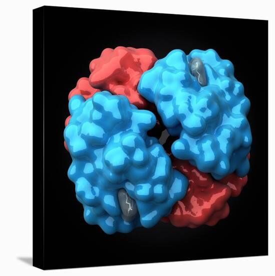 Haemoglobin Molecule, Artwork-Visual Science-Premier Image Canvas