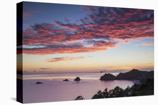 Hahei Beach at Sunrise, Coromandel Peninsula, North Island, New Zealand-Ian Trower-Premier Image Canvas