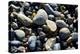 Haida Gwaii Islands, British Columbia. Agates are Found on Many of the Beaches on Graham Island-Richard Wright-Premier Image Canvas