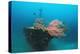 Halaveli Wreck and a Scuba Diver, Maldives.-Reinhard Dirscherl-Premier Image Canvas