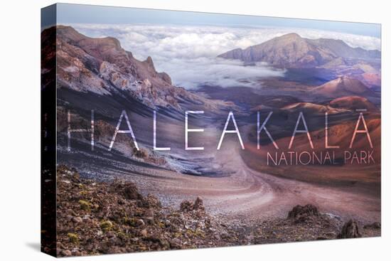 Haleakala National Park - Hawaii-Lantern Press-Stretched Canvas