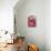 Half a Pomegranate-Frank Tschakert-Premier Image Canvas displayed on a wall