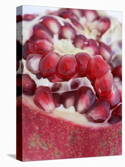 Half a Pomegranate-Frank Tschakert-Premier Image Canvas