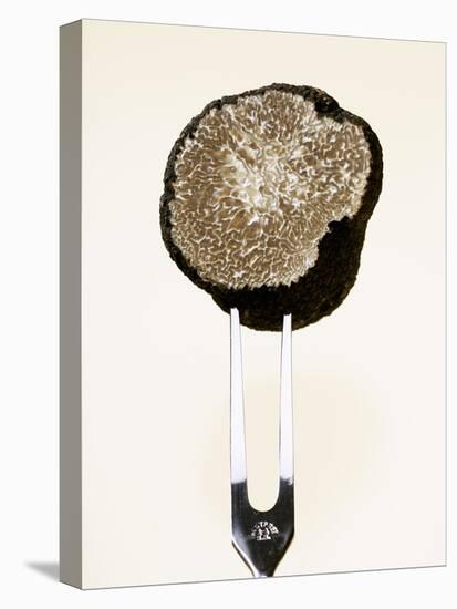 Half a Truffle on a Meat Fork-Marc O^ Finley-Premier Image Canvas