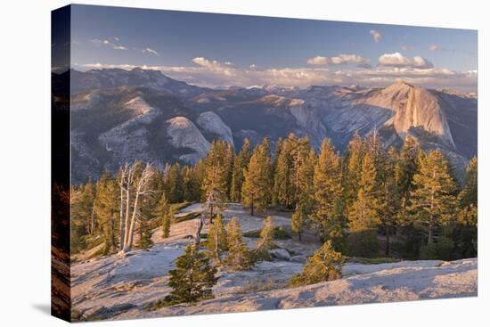 Half Dome and Yosemite Valley from Sentinel Dome, Yosemite National Park, California, USA. Spring (-Adam Burton-Premier Image Canvas