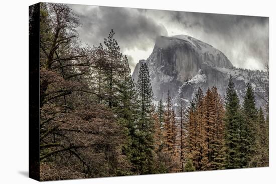 Half Dome View from Sentinel Bridge in Winter. Yosemite National Park, California.-Tom Norring-Premier Image Canvas