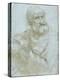 Half-Length Figure of an Apostle by Leonardo Da Vinci-Leonardo Da Vinci-Premier Image Canvas