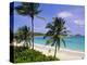 Half Moon Bay, Antigua, Caribbean, West Indies-John Miller-Premier Image Canvas