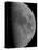 Half-Moon-Stocktrek Images-Premier Image Canvas