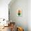 Half Moons and Tangerine Circle-Eline Isaksen-Stretched Canvas displayed on a wall